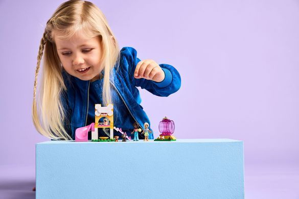 LEGO Конструктор LEGO Friends Ігровий майданчик для цуценят 42665 фото