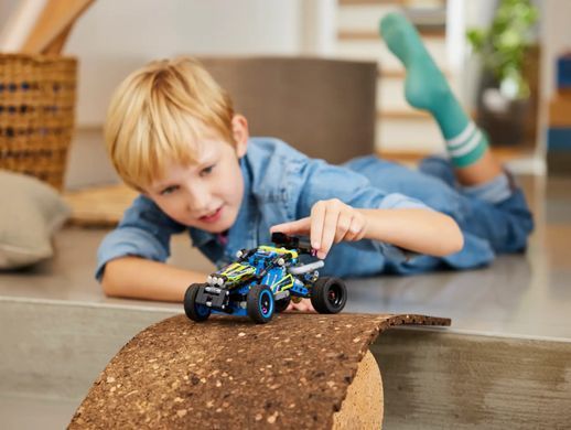 LEGO Конструктор Technic Внедорожник баги для гонки 42164 фото