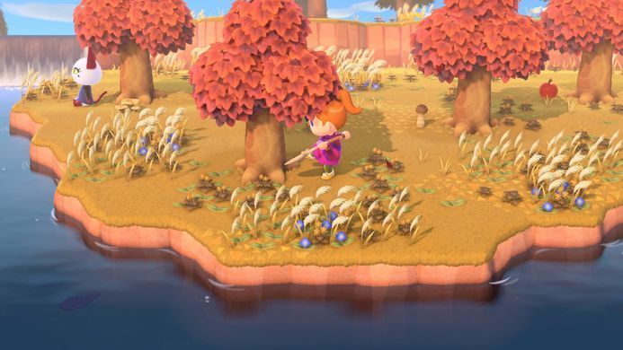 Games Software Animal Crossing: New Horizons (SWITCH) 045496425449 фото