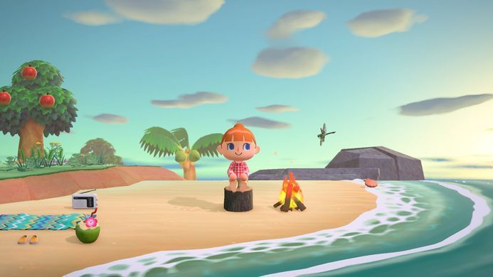 Games Software Animal Crossing: New Horizons (SWITCH) 045496425449 фото