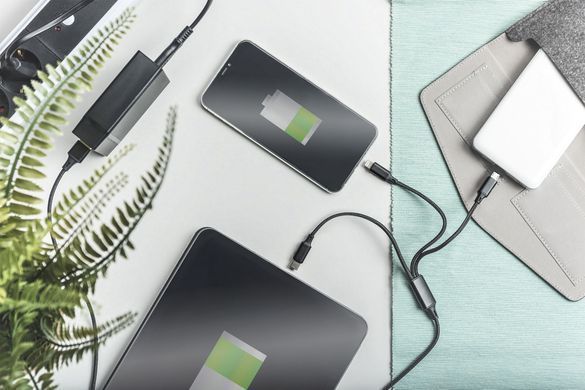 Digitus Кабель 3-in-1 Charger Cable AK-300160-010-S фото