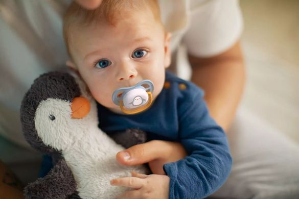 AVENT Пустышка ортодонтическая Ultra Air Animal для мальчиков 0-6 мес 2шт SCF080/05 SCF080/05 фото