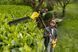 Karcher Аккумуляторный кусторез HGE 2-18, 18 В, лезвие 45 см, шаг реза 18 мм, угол реза 125&deg;, вес 3,3 кг, без аккумулятора и зарядного устройства 7 - магазин Coolbaba Toys