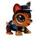 Build a Bot Игровой набор Paw Patrol Чейз 6 - магазин Coolbaba Toys