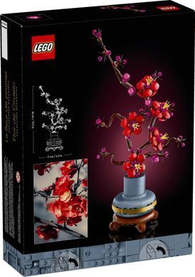 LEGO Консируктор Icons Сливовый цвет 10369 фото
