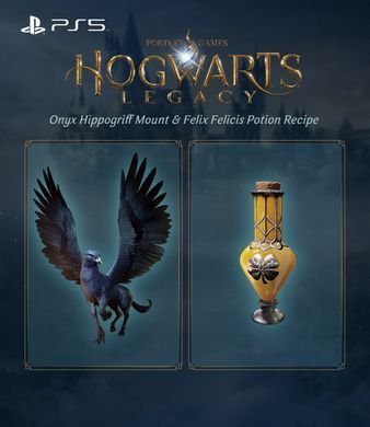 Games Software Hogwarts Legacy [Blu-Ray диск] (PS5) 5051895413425 фото