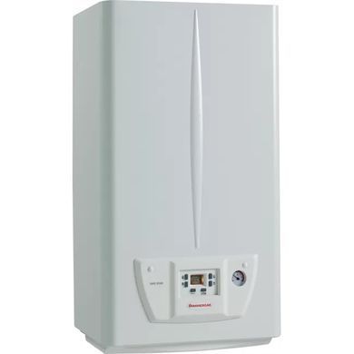 Immergas Котел газовий Nike Star 24 4 E двоконтурний, димохідний, 24 кВт