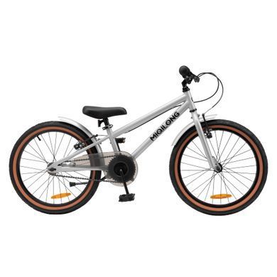 Miqilong Детский велосипед ST 20" серебристый RBB-ST20-SILVER фото