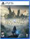 Games Software Hogwarts Legacy [Blu-Ray диск] (PS5) 1 - магазин Coolbaba Toys