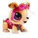Build a Bot Игровой набор Paw Patrol Скай 5 - магазин Coolbaba Toys