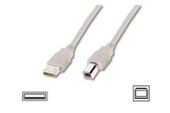 Кабель ASSMANN USB 2.0 (AM/BM) 1.8m, biege AK-300102-018-E фото