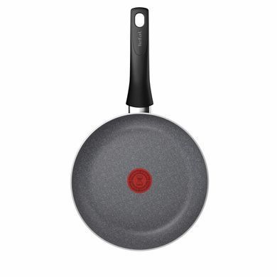 Tefal Сковорода Hard Stone, 20см, алюминий, бакелит, серый D4560253 фото