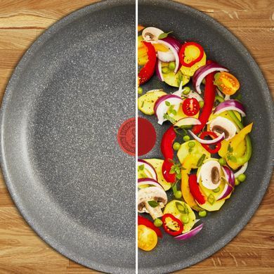 Tefal Сковорода Hard Stone, 20см, алюминий, бакелит, серый D4560253 фото