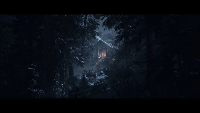 Games Software UNTIL DAWN [BD disk] (PS5) 1000044321 фото