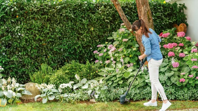 Bosch Триммер садовый EasyGrassCut 23, 280Вт, 23 см, леска, 1.9 кг 0.600.8C1.H01 фото