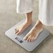 Tefal Tefal scales for floor Premiss, 160kg, AAAx2 included, glass, grey 5 - магазин Coolbaba Toys