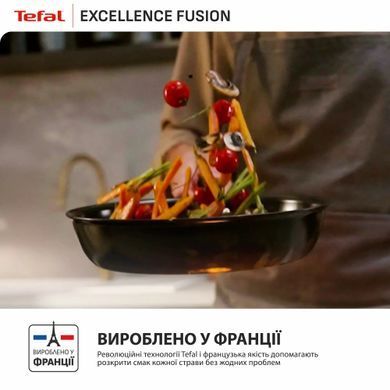 Tefal Сковорода Tefal Excellence Fusion, 20см, алюміній, бакеліт, чорний G3380202 фото