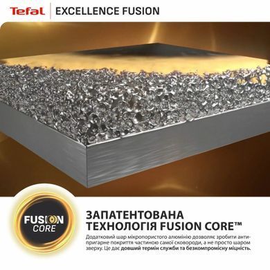 Tefal Сковорода Tefal Excellence Fusion, 20см, алюміній, бакеліт, чорний G3380202 фото