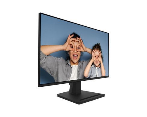 MSI Монітор 24.5" PRO MP252 HDMI, DP, MM, IPS, 100Hz, 1ms, sRGB 100%, AdaptiveSync 9S6-3PC4CT-008 фото