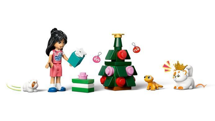 LEGO Конструктор Advent Friends 2025 42668 фото