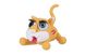 Маса для ліплення Paulinda Super Dough Shiny Eyes Кіт Mimmy глянцеві очі 2 - магазин Coolbaba Toys