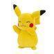 Мягкая игрушка POKEMON W14 - ПИКАЧУ (20 cm) 1 - магазин Coolbaba Toys