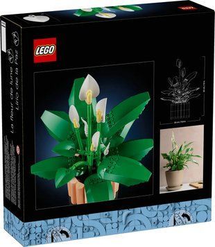 LEGO Конструктор LEGO Botanicals Спатифілум 11504 фото