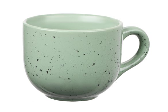 Чашка Ardesto Bagheria, 480 мл, Pastel green, керамика AR2948GGC фото