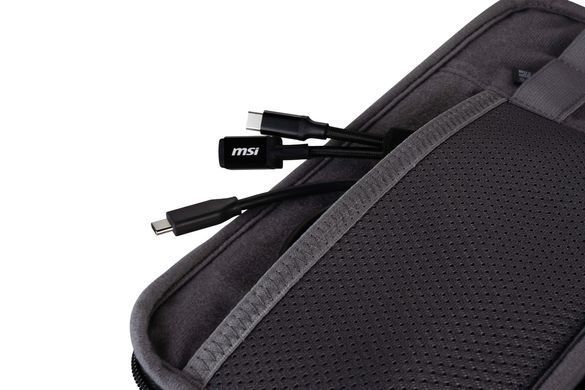 MSI Чехол Claw Travel Case G34-N1XXX26-808 фото