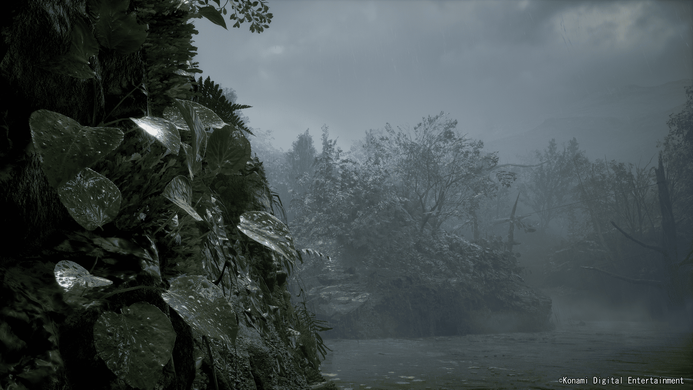 Games Software Metal Gear Solid Delta: Snake Eater Day 1 Edition [BD диск] (PS5) 4012927150856 фото
