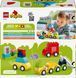 LEGO Конструктор LEGO DUPLO My First Творчі транспортні засоби 8 - магазин Coolbaba Toys