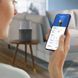 Philips Зволожувач повітря традиційне зволоження Series 5000, 56м2, 4.5л, 400мл/г, електр. кер-ння, режим сну, нічник, темно-сірий