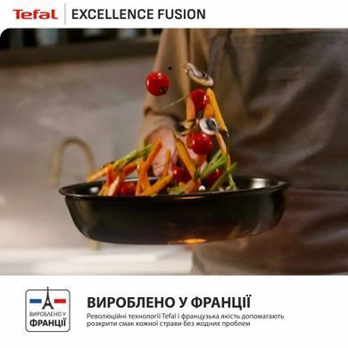 Tefal Frying pan Tefal Excellence Fusion, 26 cm, aluminum, bakelite, black G3380502 фото
