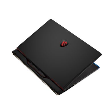 Ноутбук MSI Raider 17" QHD+, Intel i9-13950HX, 32GB, F1TB, NVD4080-12, W11, чорний RAIDER_GE78HX_13VH-210UA фото