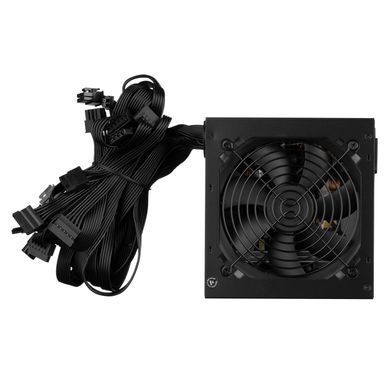2E Блок питания Master Power (550W) >80% 80+ White 120мм 1xMB 24pin(20+4) 1xCPU 8pin(4+4) 3xMolex 5xSATA 2xPCIe 8pin(6+2) 2E-MP550-120APFC фото