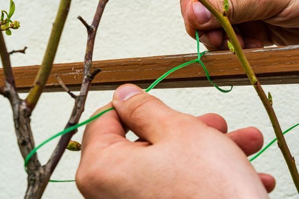 Verto Дріт садовий, ПВХ-оболонка, з обрізувачем, 0.15смх50м, зелений 15G530 фото