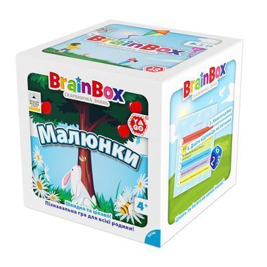 Познавательная игра - BRAINBOX РИСУНКИ BZZBRPI01UA фото