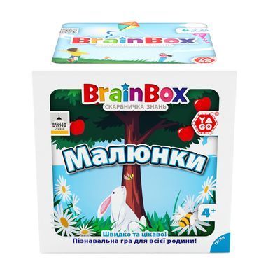 Познавательная игра - BRAINBOX РИСУНКИ BZZBRPI01UA фото