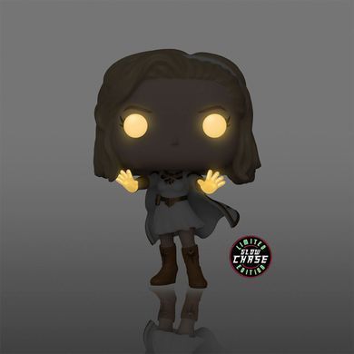 Ігрова фігурка FUNKO POP! серії "Хлопаки" - ЗІРОНЬКА (w/CHASE) 48187 фото