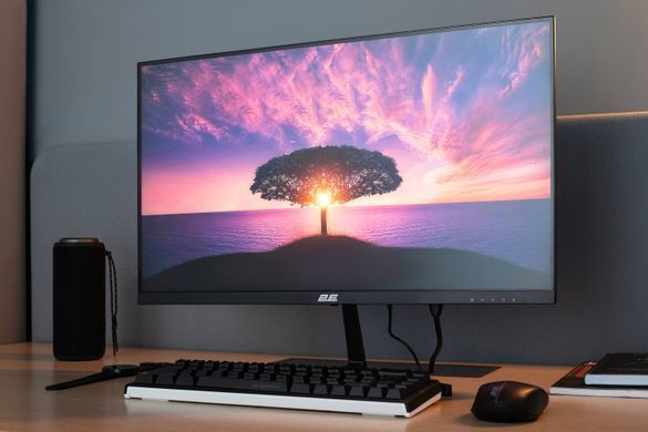 2E Монітор 2E 23.8" D2425B D-Sub, HDMI, MM, IPS, 100Hz, FreeSync 2E-D2425B-01.EU фото