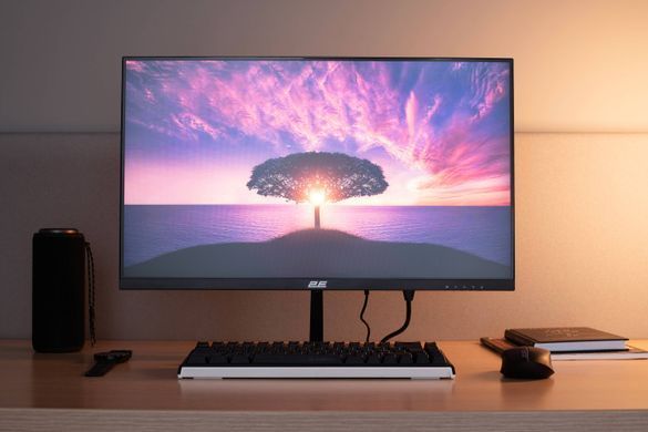 2E Монітор 2E 23.8" D2425B D-Sub, HDMI, MM, IPS, 100Hz, FreeSync 2E-D2425B-01.EU фото