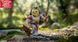 Ігрова колекційна фігурка Roblox Core Figures Lion Knight W4 5 - магазин Coolbaba Toys