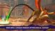 Games Software Prince of Persia: The Lost Crown [BD disk] (PS5) 4 - магазин Coolbaba Toys