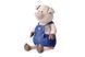 Мягкая игрушка Same Toy Свинка в джинсовом комбинезоне 45 см 1 - магазин Coolbaba Toys