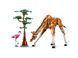 LEGO Конструктор Creator Дикі тварини сафарі 4 - магазин Coolbaba Toys