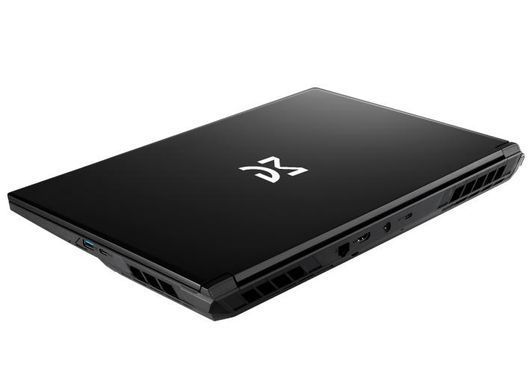 Dream Machines Ноутбук RG5060-17 17.3FHD IPS, Intel i9-14900HX, 32GB, F1TB, NVD5060-8, DOS, чорний RG5060-17UA21 фото