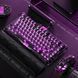 GravaStar Клавіатура механічна Mercury V75 Lite 80keys, Magnetic Blackcore, USB-A, RGB, Transparent Black 9 - магазин Coolbaba Toys