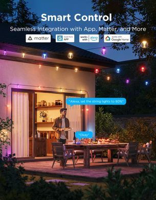 Govee Набір світлодіодних ламп H7025 Outdoor Clear Bulb String Lights, 15м, RGBIC/Warm White, WI-FI/Bluetooth, чорний H7025CB1 фото