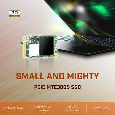 Transcend Накопитель SSD M.2 256GB PCIe 3.0 MTE300S 2230 TS256GMTE300S фото