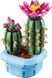 LEGO Конструктор LEGO Botanicals Цвітіння кактуса 5 - магазин Coolbaba Toys